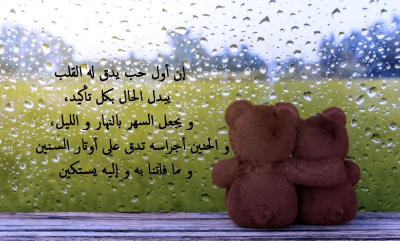 خاطرة حب قصيرة.