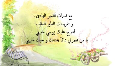 عبارات رائعة عن الزوج.