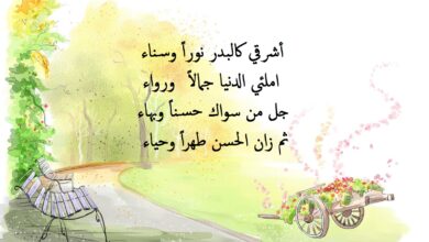 خواطر حب جميلة.