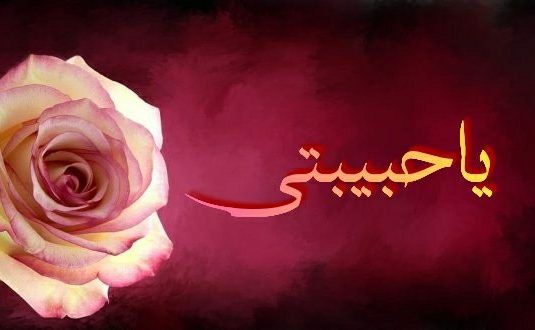 عبارات 