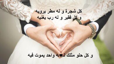 عبارات وكلام ورسائل حب