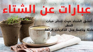 عبارات عن الشتاء