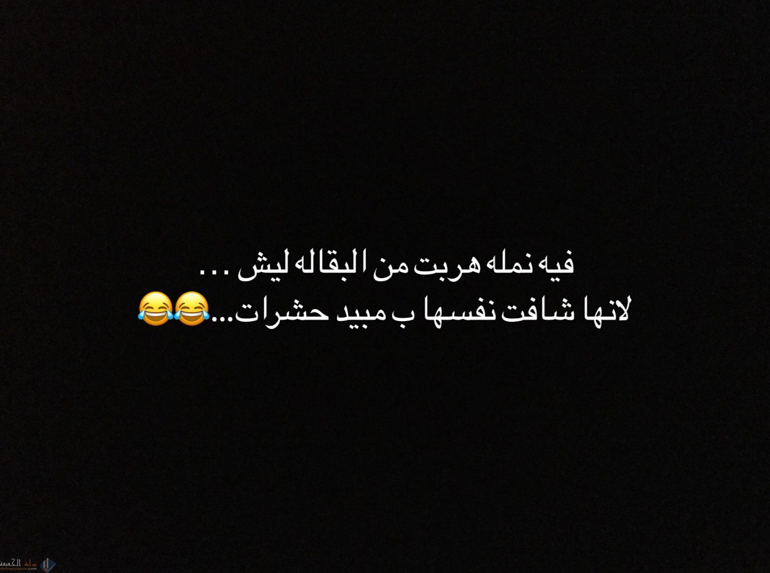 نكت عن النمل تموت ضحك