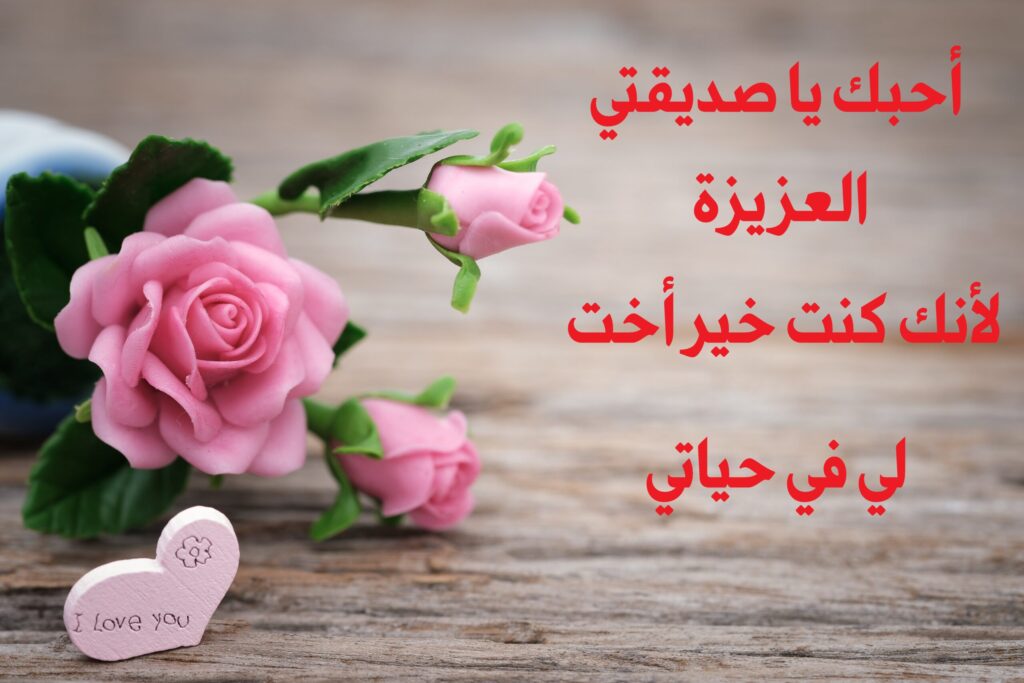 صديقتي 