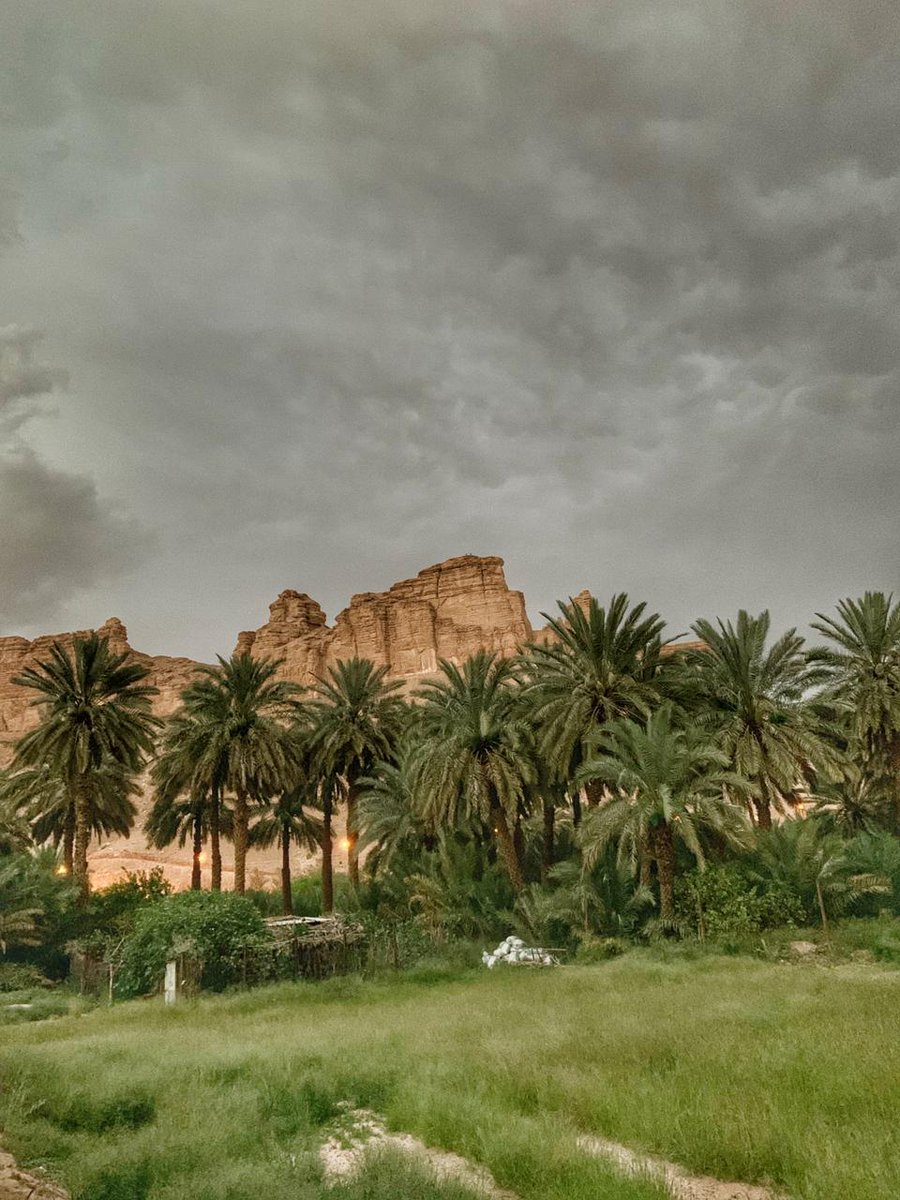 الاحساء كم تبعد عن الرياض