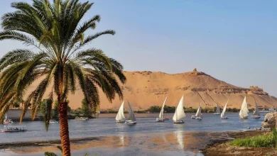 النيل