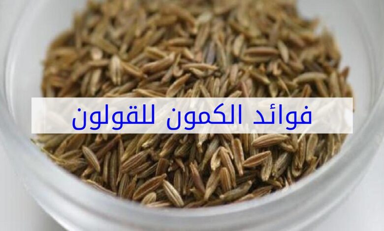 فوائد الكمون للقولون