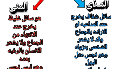 الفرق بين المذي والمني