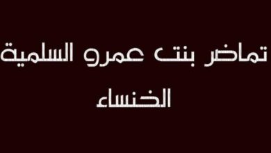 قصيدة رثاء الخنساء في أخيها صخر كاملة