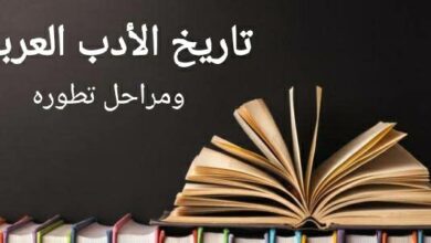 تاريخ الأدب العربي