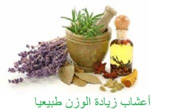 اهم وصفات زيادة الوزن