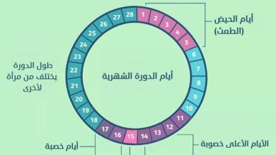 حساب موعد التبويض