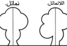 في اي مما يلي يكون الخط المنقط خط تماثل