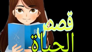 قصص واقعية من الحياة