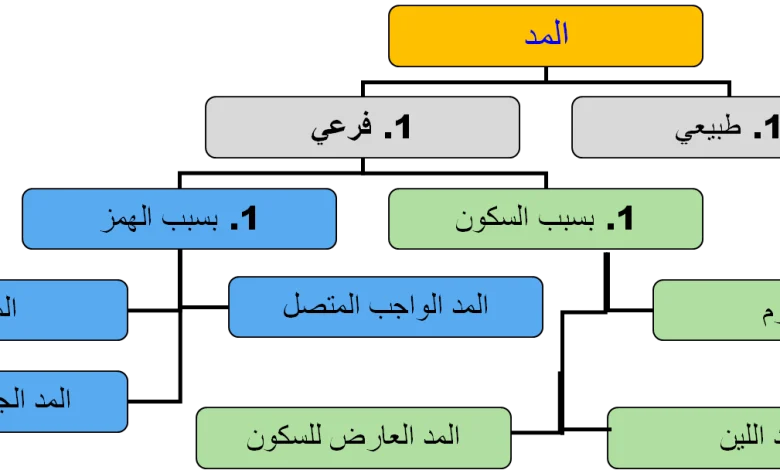 أسباب المد الفرعي