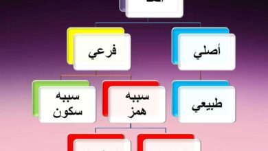 المد المنفصل من أنواع المد الفرعي