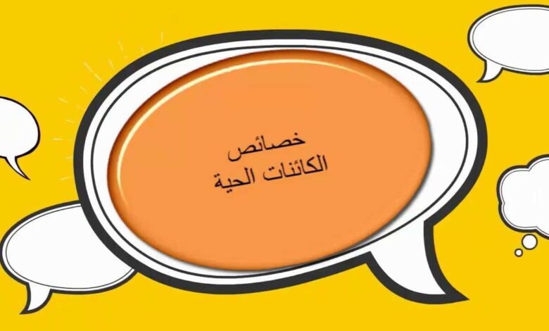 معلومات مهمة