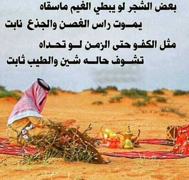 بعض الشجر