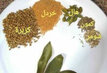 بهارات صحيحة