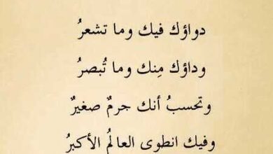 شعر فصيح