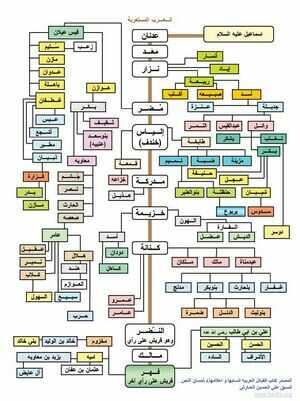 عيارات فخوذ الدواسر