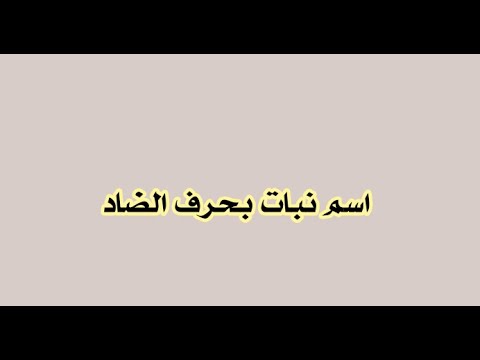 نبات بحرف ض