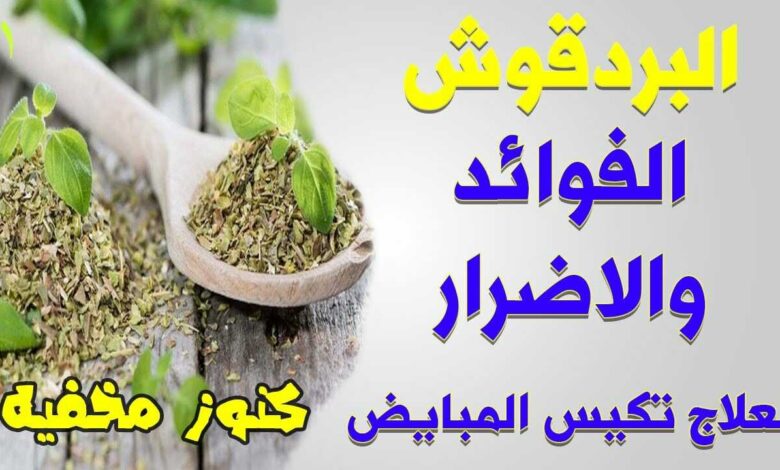 فوائد البردقوش للنساء