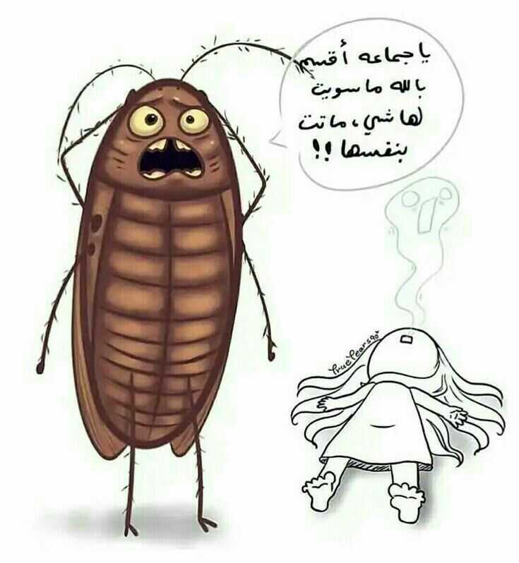 يا جماعة