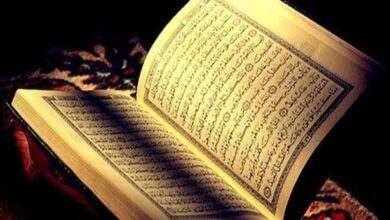 الجزء كم صفحة