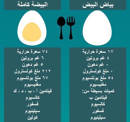 مقارنة بين بياض وصفار البيض