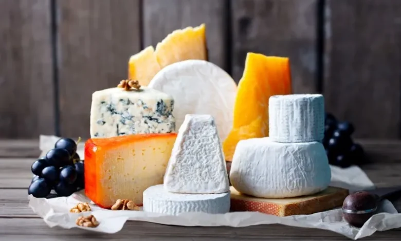 الجبنة الفرنسية أطباق مميزة .. أفضل 10 أنواع جبن فرنسي