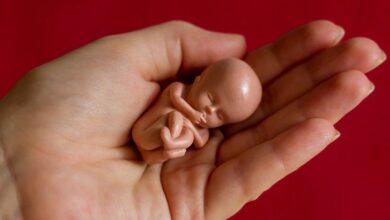 علامات الطهر بعد الإجهاض .. متى تعود الدورة الشهرية بعد الإجهاض