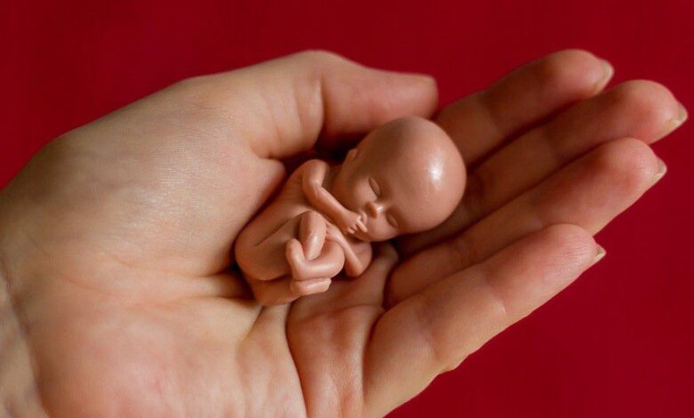علامات الطهر بعد الإجهاض .. متى تعود الدورة الشهرية بعد الإجهاض
