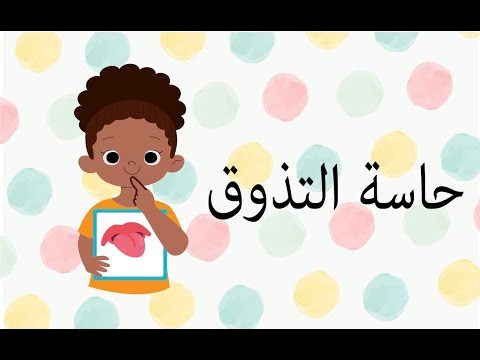 بحث حول حاسة التذوق .. كيف تعمل وأبرز المعلومات عنها