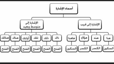 أسماء الإشارة جميعها مبنية، صواب ام خطأ؟