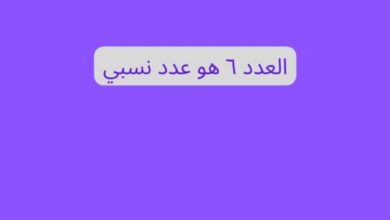 العدد ٦ هو عدد نسبي؟ صواب أم خطأ