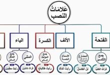 لن يبني الجاهل المجد. ما علامة نصب (يبني)؟