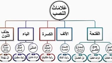 لن يبني الجاهل المجد. ما علامة نصب (يبني)؟