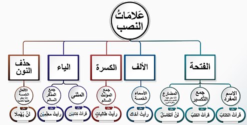 لن يبني الجاهل المجد. ما علامة نصب (يبني)؟