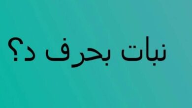 نبات بحرف د اتوبيس كومبليت .. أسماء نباتات غير مشهورة بحرف د