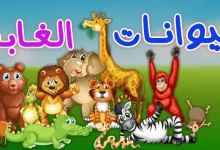 قصص حيوانات الغابة قصيرة جدا مكتوبة