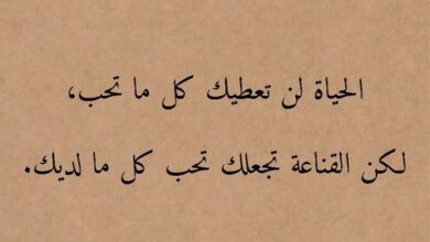 مقولات جميلة 2024 .. مقولات جميلة وقصيرة معبرة عن الحياة