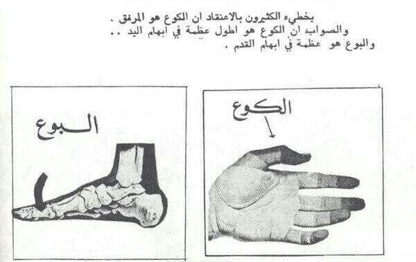 ما هو الكوع والبوع بالصور